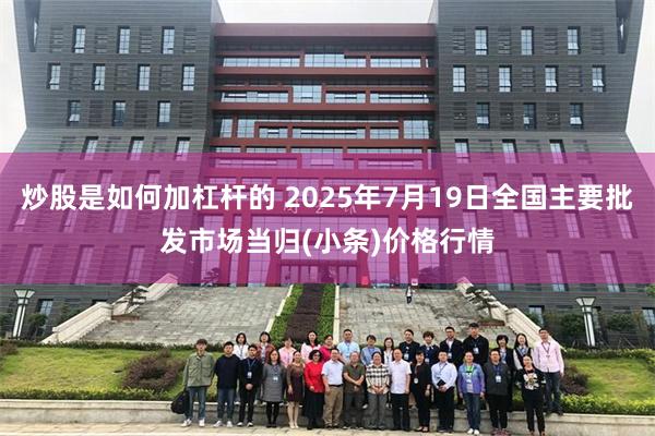 炒股是如何加杠杆的 2025年7月19日全国主要批发市场当归(小条)价格行情