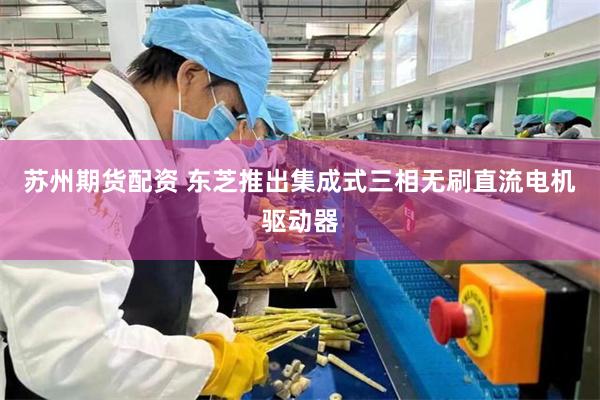 苏州期货配资 东芝推出集成式三相无刷直流电机驱动器