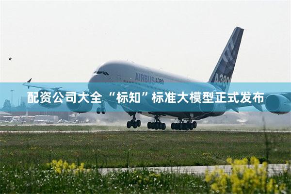 配资公司大全 “标知”标准大模型正式发布