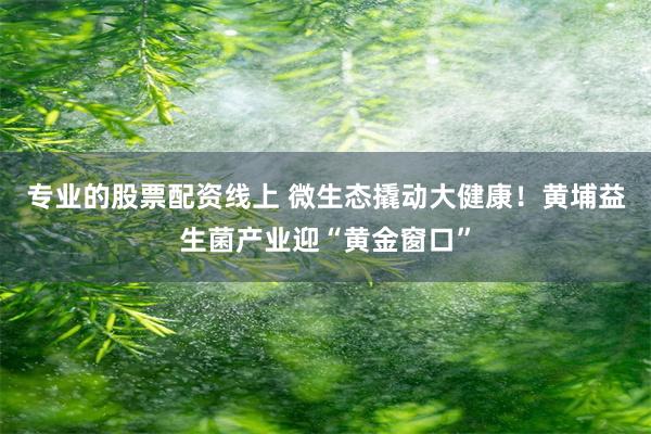 专业的股票配资线上 微生态撬动大健康！黄埔益生菌产业迎“黄金窗口”