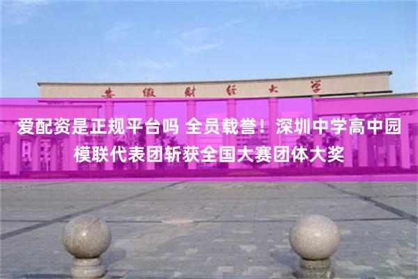 爱配资是正规平台吗 全员载誉！深圳中学高中园模联代表团斩获全国大赛团体大奖