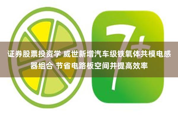 证券股票投资学 威世新增汽车级铁氧体共模电感器组合 节省电路板空间并提高效率